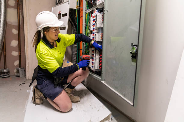 Best Electric Panel Repair  in Monte Vista, CO